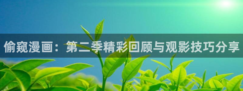 新新漫画海贼王：偷窥漫画：第二季精彩回顾与观影技巧分享