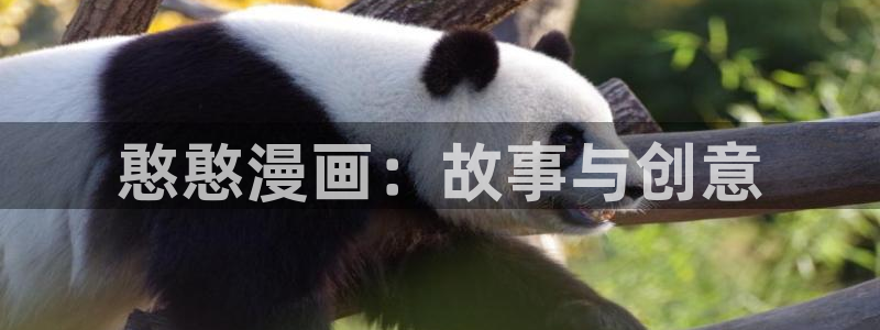 新新漫画纯爱人生：憨憨漫画：故事与创意
