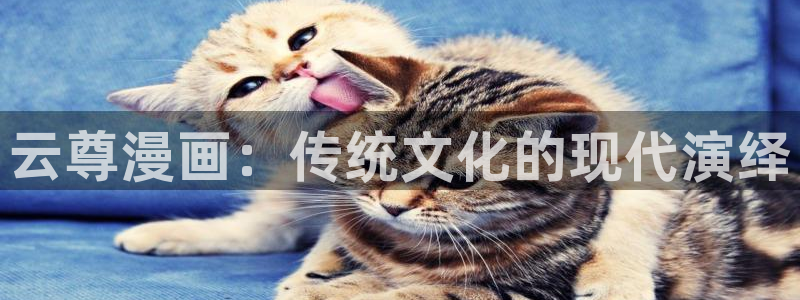 新新漫画软件：云尊漫画：传统文化的现代演绎