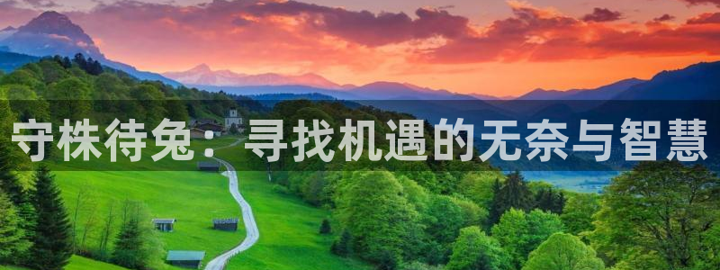 新新漫画入口：守株待兔：寻找机遇的无奈与智慧