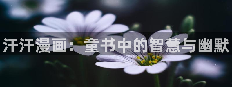 新新漫画旧版本：汗汗漫画：童书中的智慧与幽默