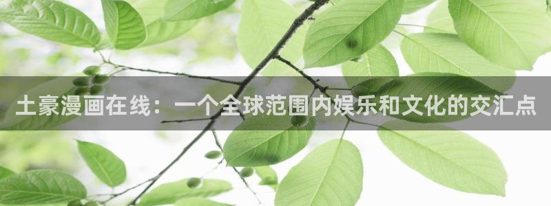 新新漫画移动手机版