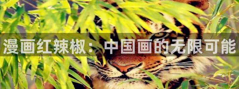 新新漫画入口www
