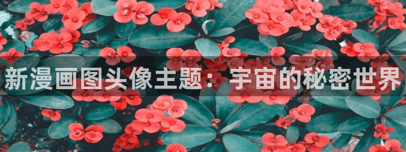 新新漫画在线看：新漫画图头像主题：宇宙的秘密世界