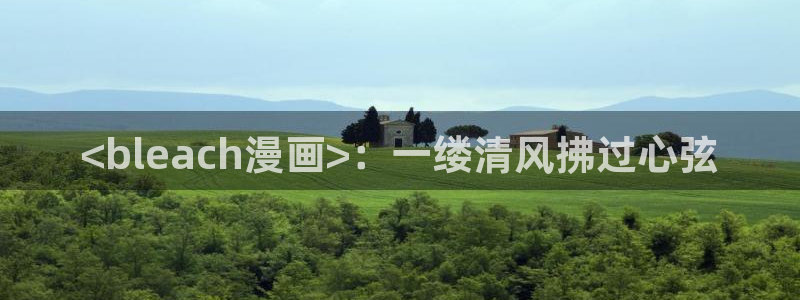 新新漫画app怎么样