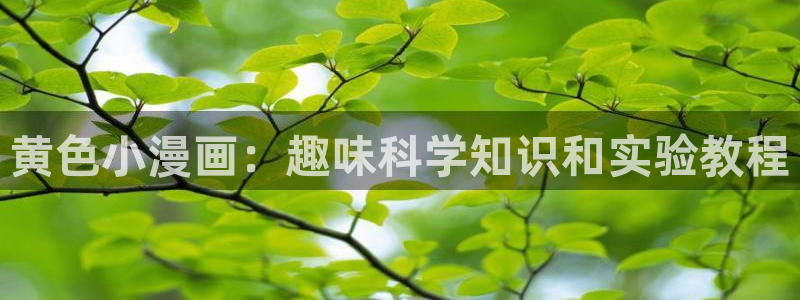 漫画分类新新漫画