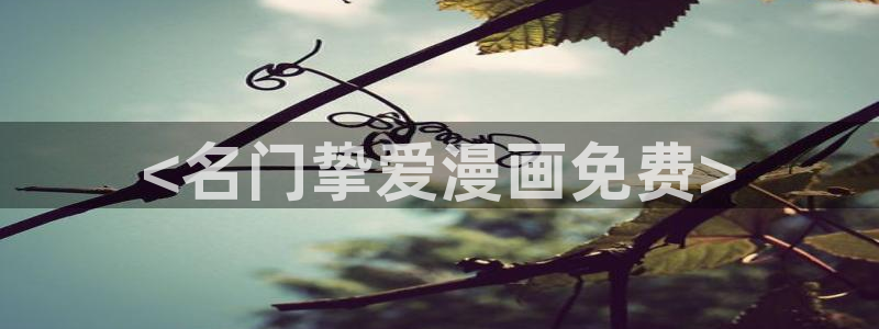 新新漫画人生列表：<名门挚爱漫画免费>
