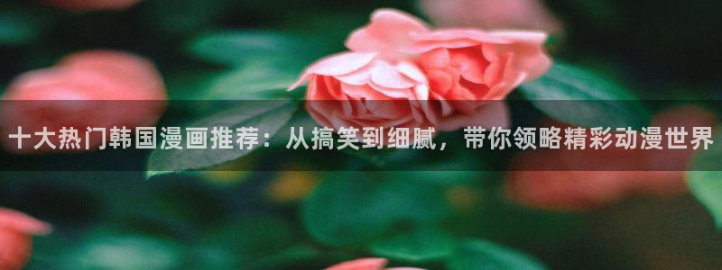 新新漫画app怎么样：十大热门韩国漫画推荐：从搞笑到细腻，带你领略精彩动漫世界
